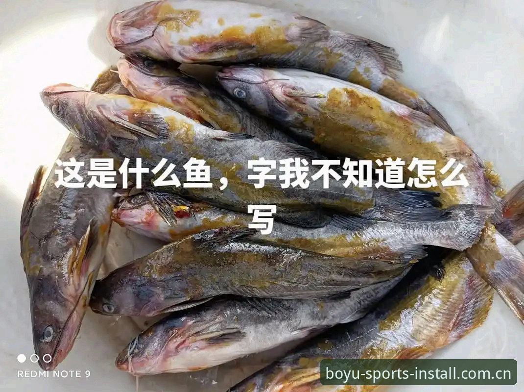 博鱼APP功能详解 深度揭秘:博鱼体育App这些隐藏功能,老用户都不一定全知道